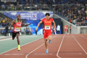 复仇之战！博尔特率领中国队成功夺冠-多米